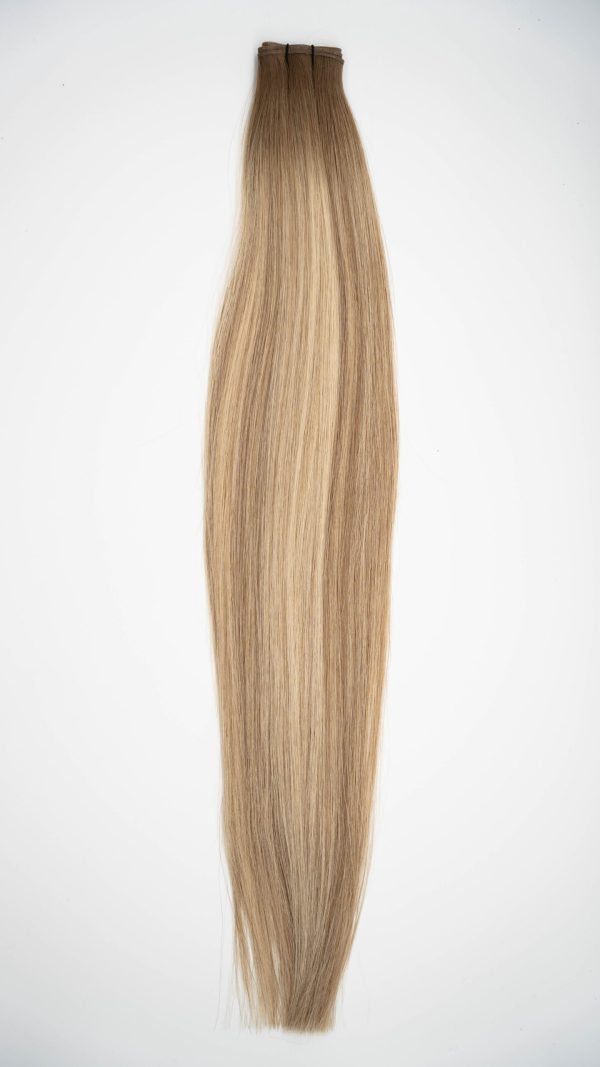 Biscuit Bronde